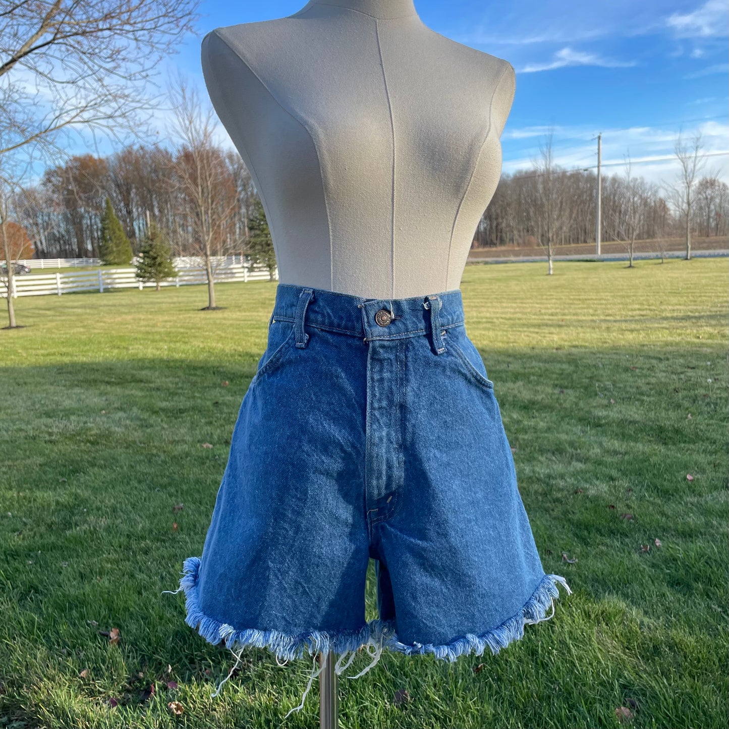 Vintage 70s/80s Levi Cut Off Shorts